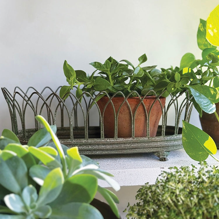 Vintage Wire Oval Planter