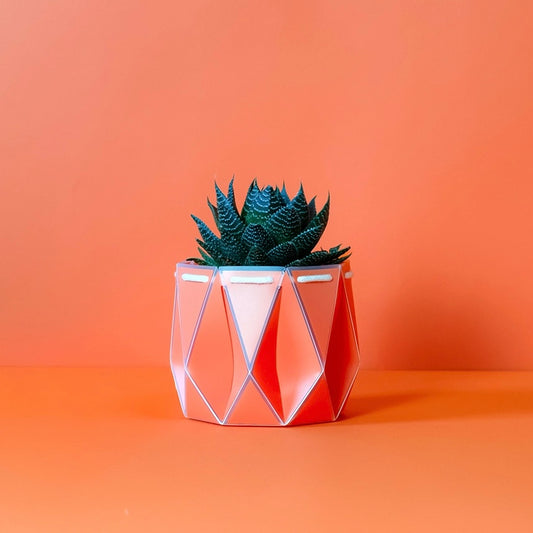 Large Potr Planter - 18cm