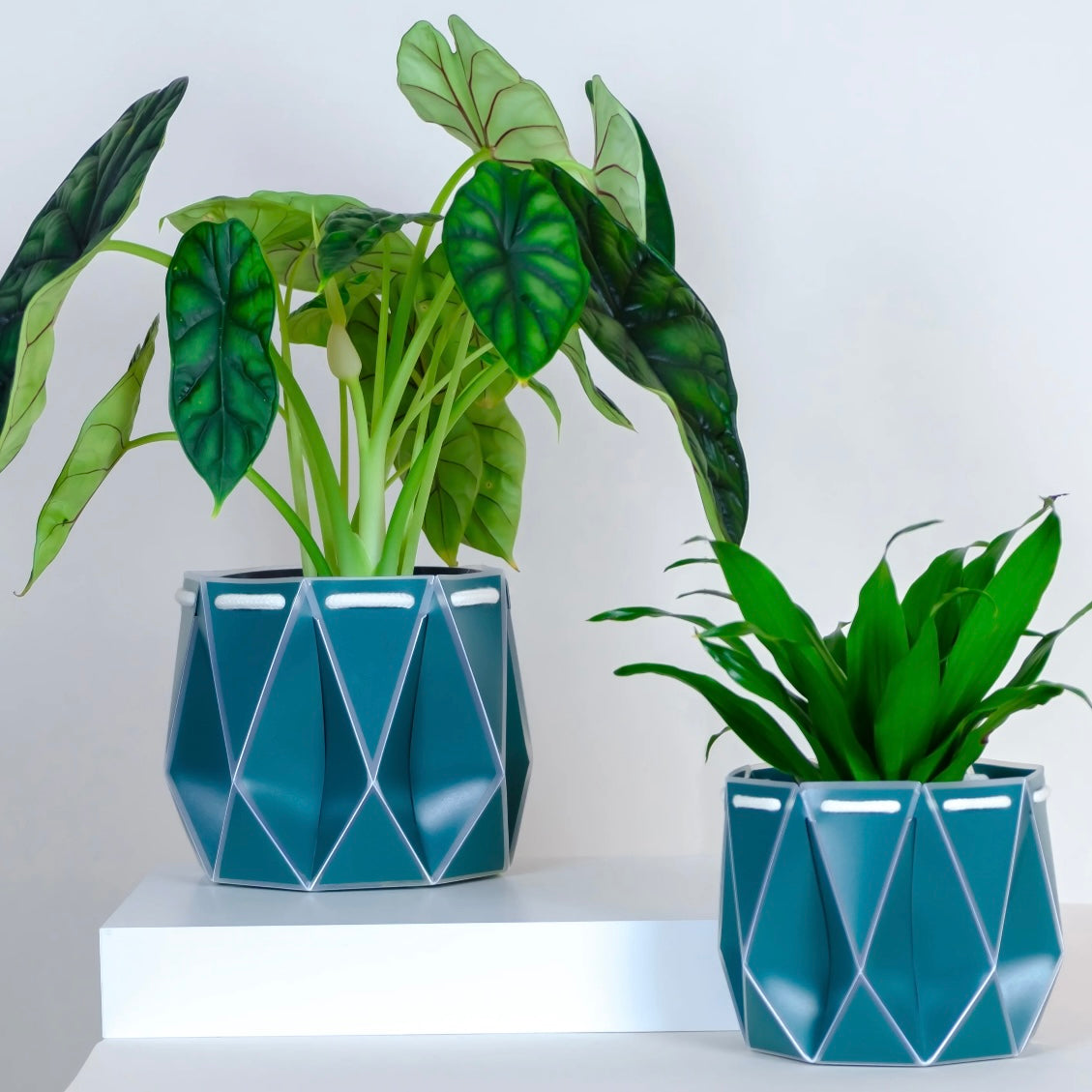 Medium Potr Planter - 15cm