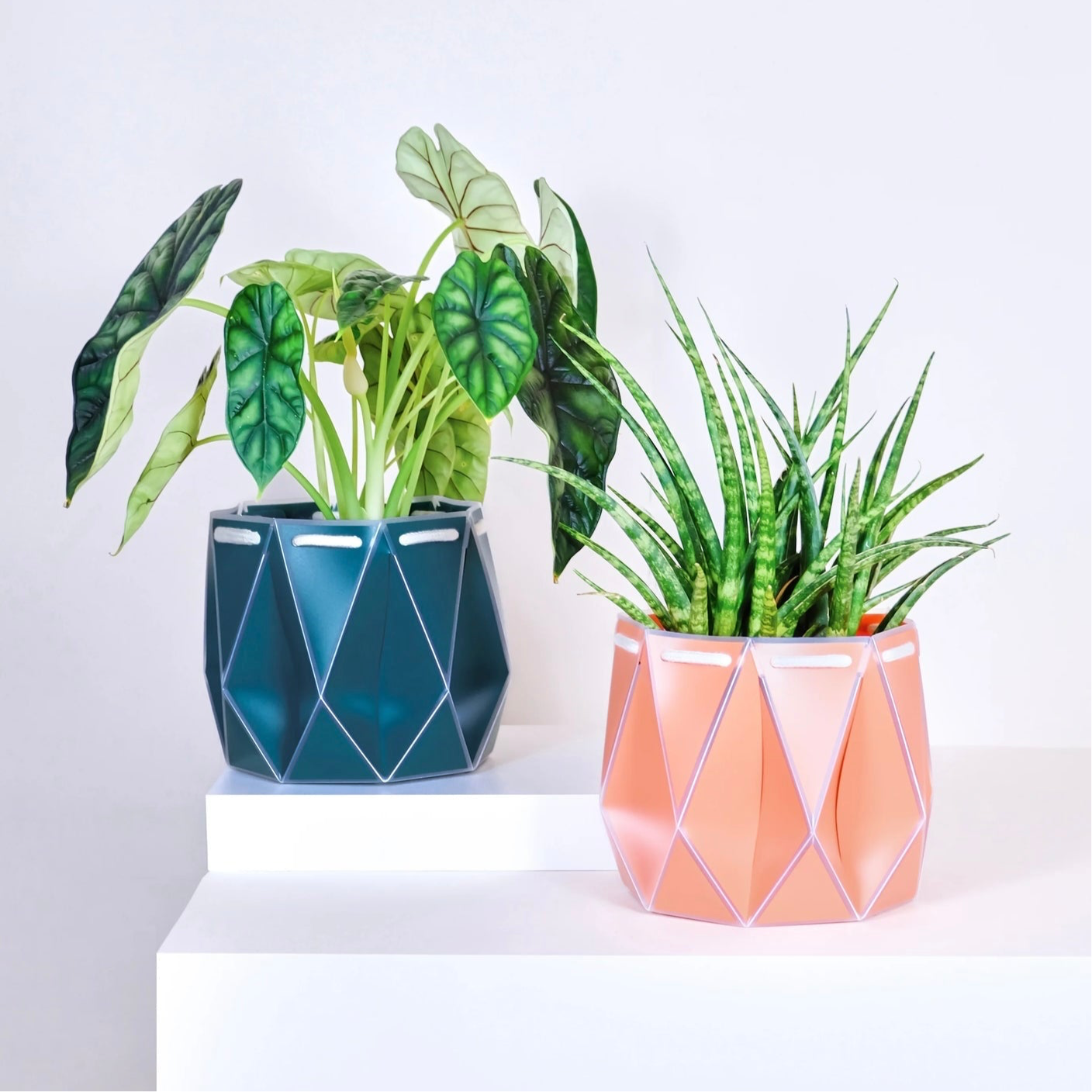 Small Potr Planter - 11cm