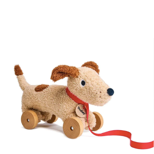 Dudley The Dog