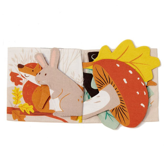 Where is Baby? Rag Book