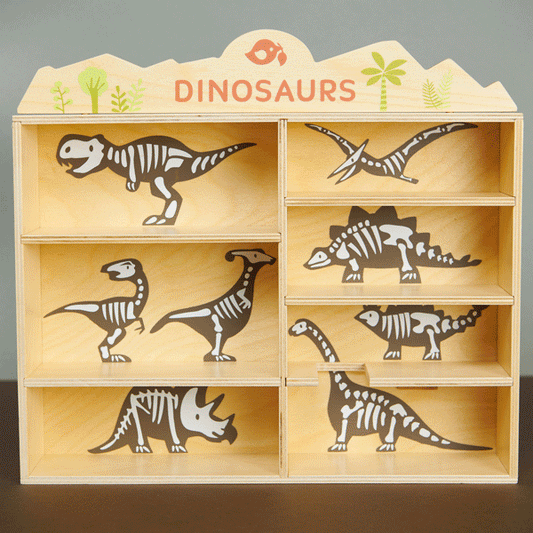 Dinosaurs Shelf Set