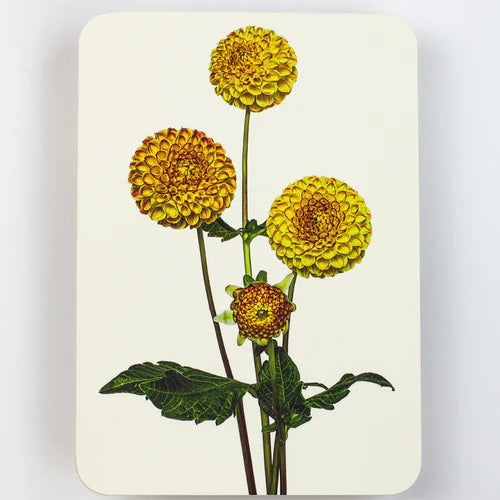 English Garden Flower Card