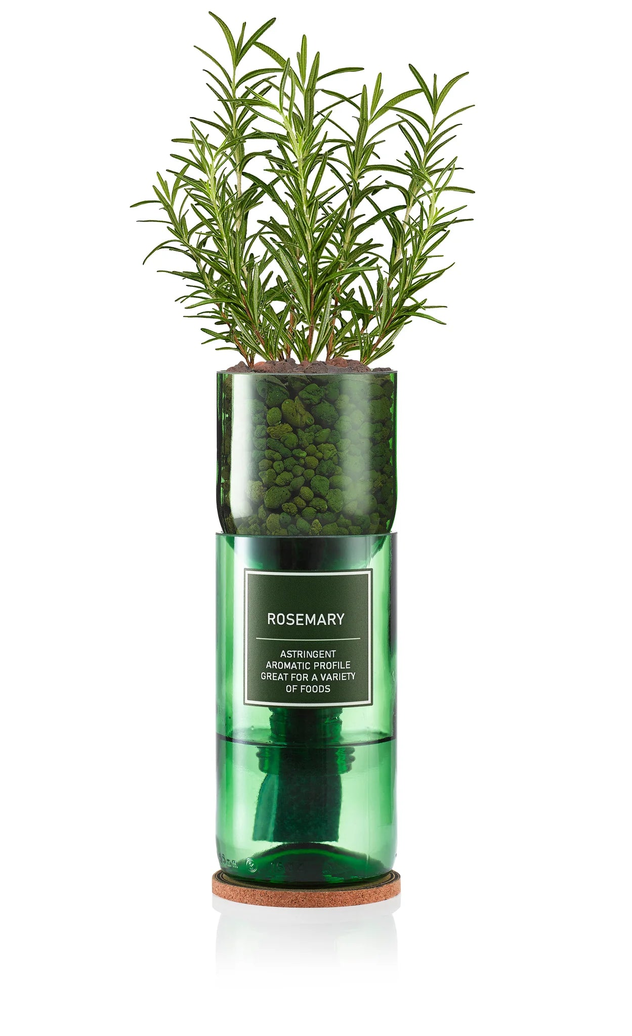 Hydro Herb kit with rosemary plant – self-watering hydroponic herb growing system made from an upcycled green wine bottle