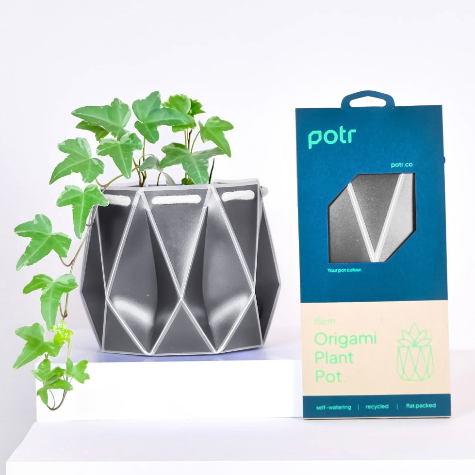 Medium Potr Planter - 15cm