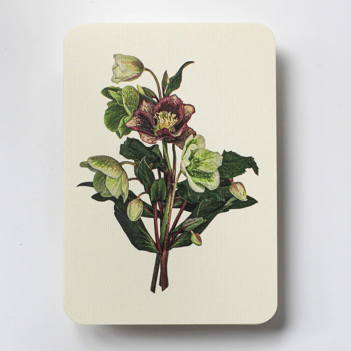 English Garden Flower Card