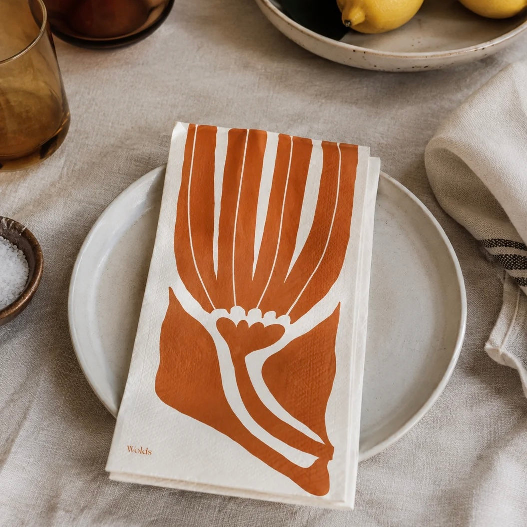 Paper Napkins