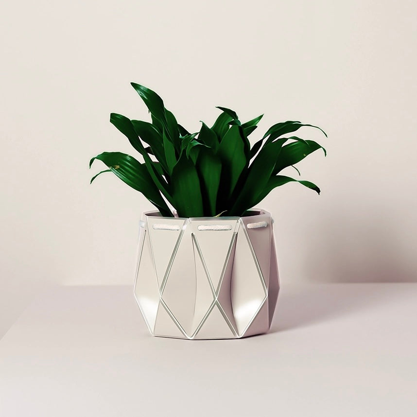 Large Potr Planter - 18cm