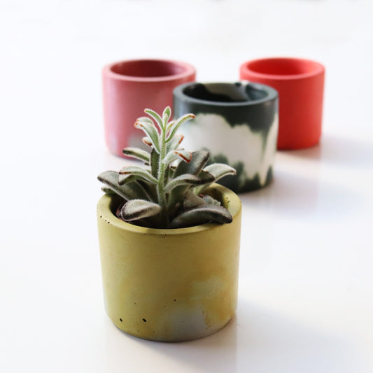 Mini Concrete Plant Pot