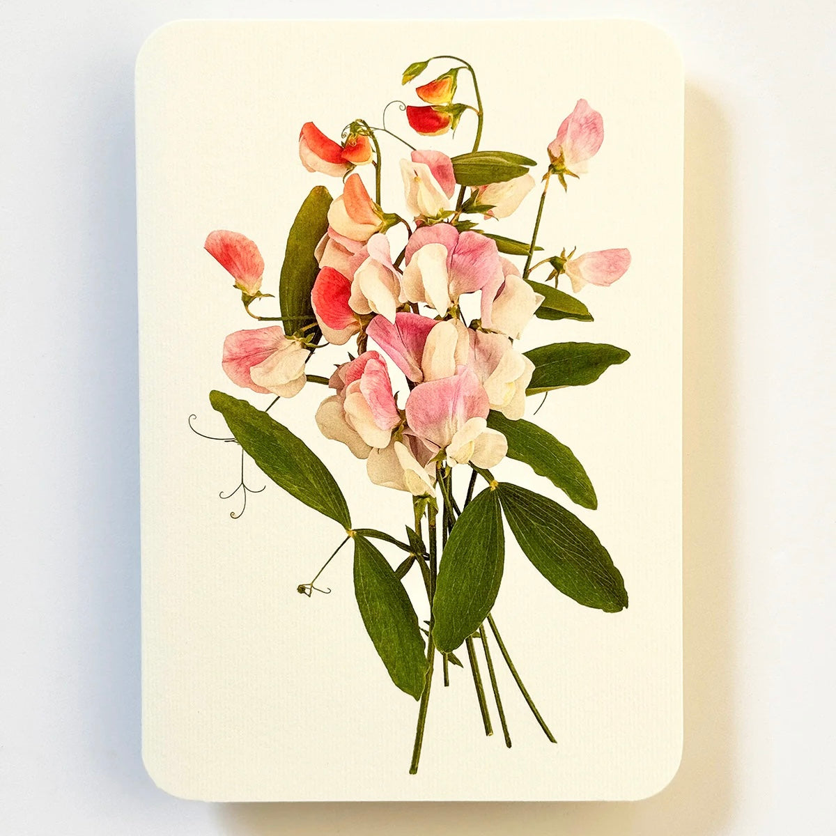 English Garden Flower Card