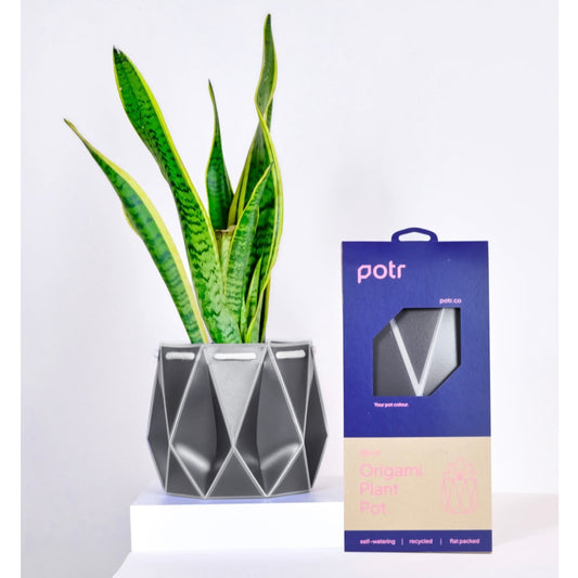 Large Potr Planter - 18cm