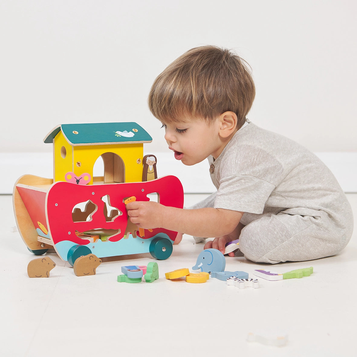 Noah’s Shape Sorter Ark