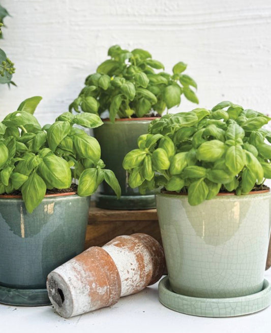 Green Crackle Plant Pot