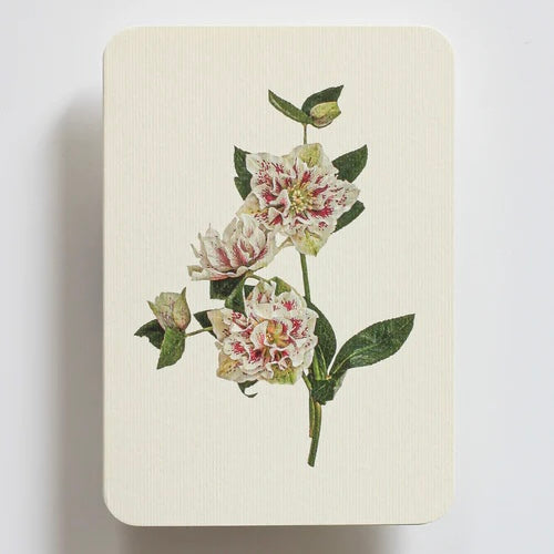 English Garden Flower Card