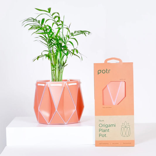 Small Potr Planter - 11cm
