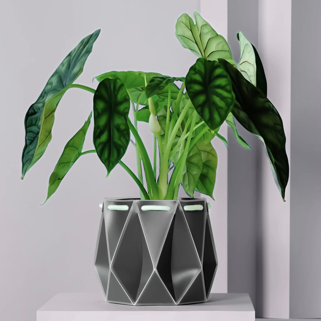 Large Potr Planter - 18cm