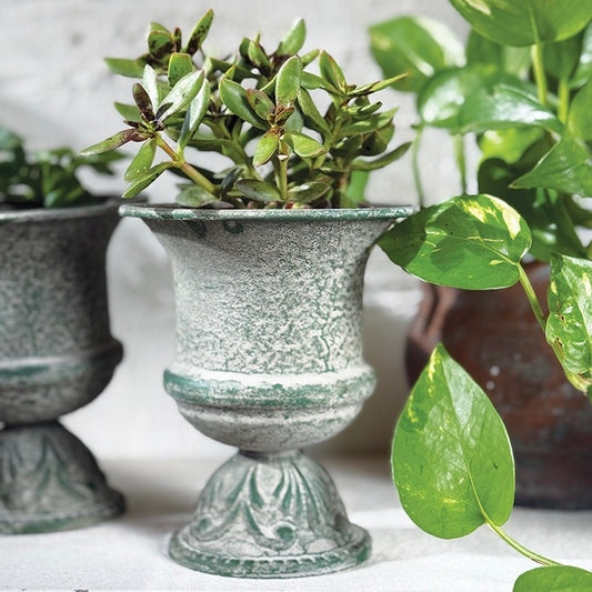 Vintage Urn Mini Classic