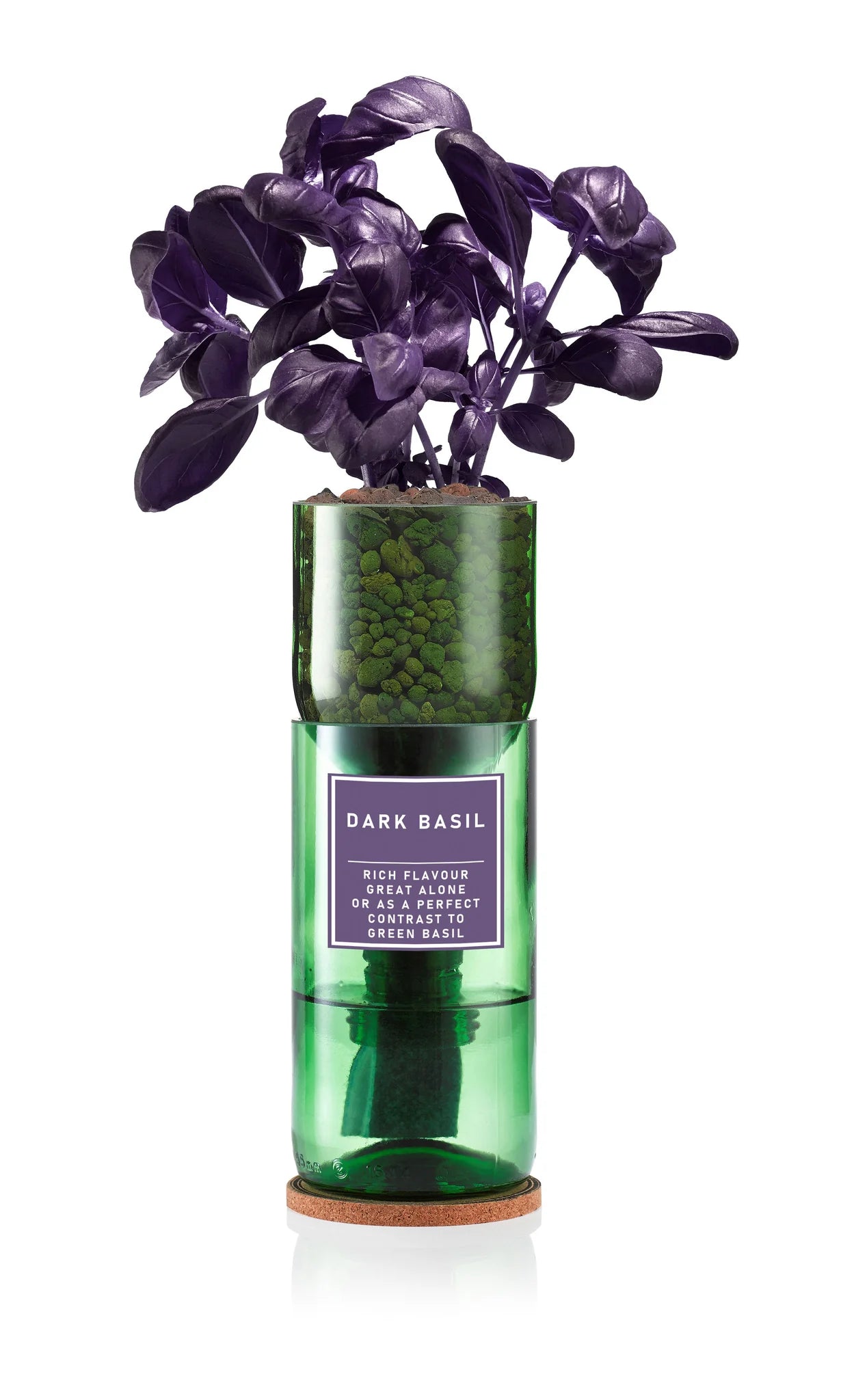 Hydro Herb kit with beautiful dark basil plant – self-watering hydroponic herb growing system made from an upcycled green wine bottle