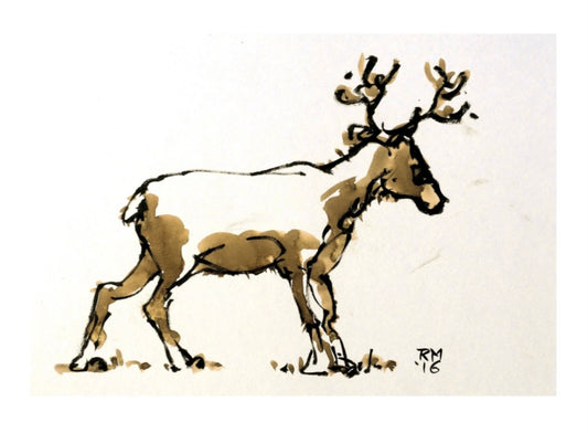 Reindeer Greetings Card
