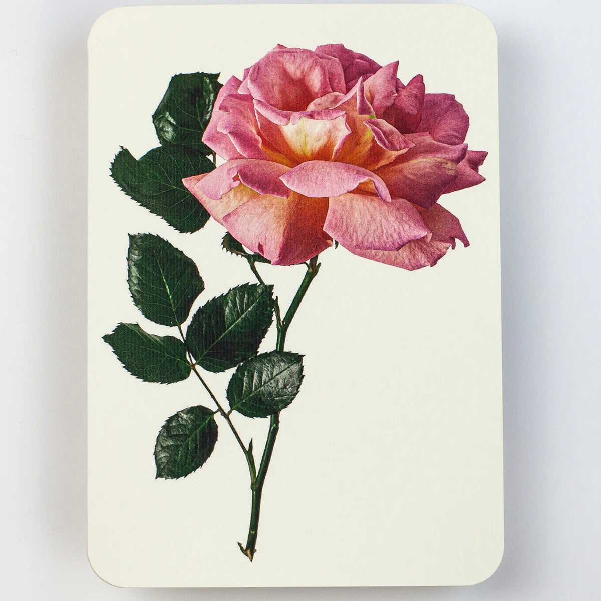 English Garden Flower Card