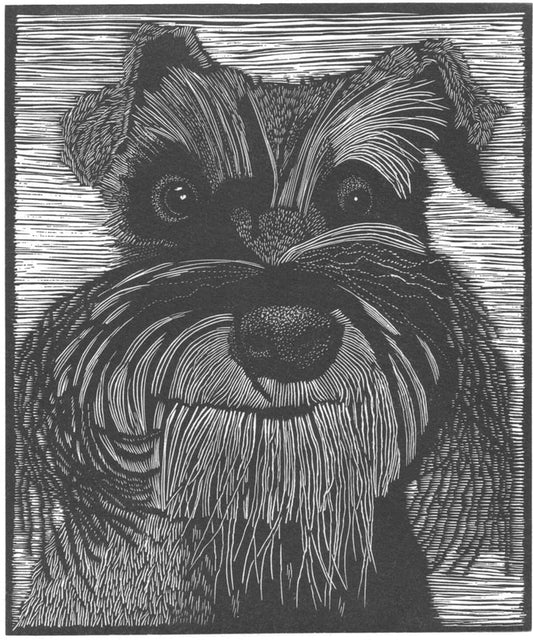 Stanley Greeting Card