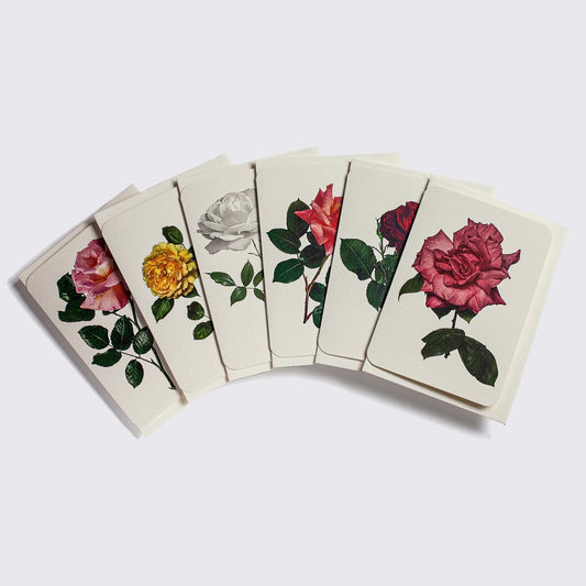 English Garden Flower Card