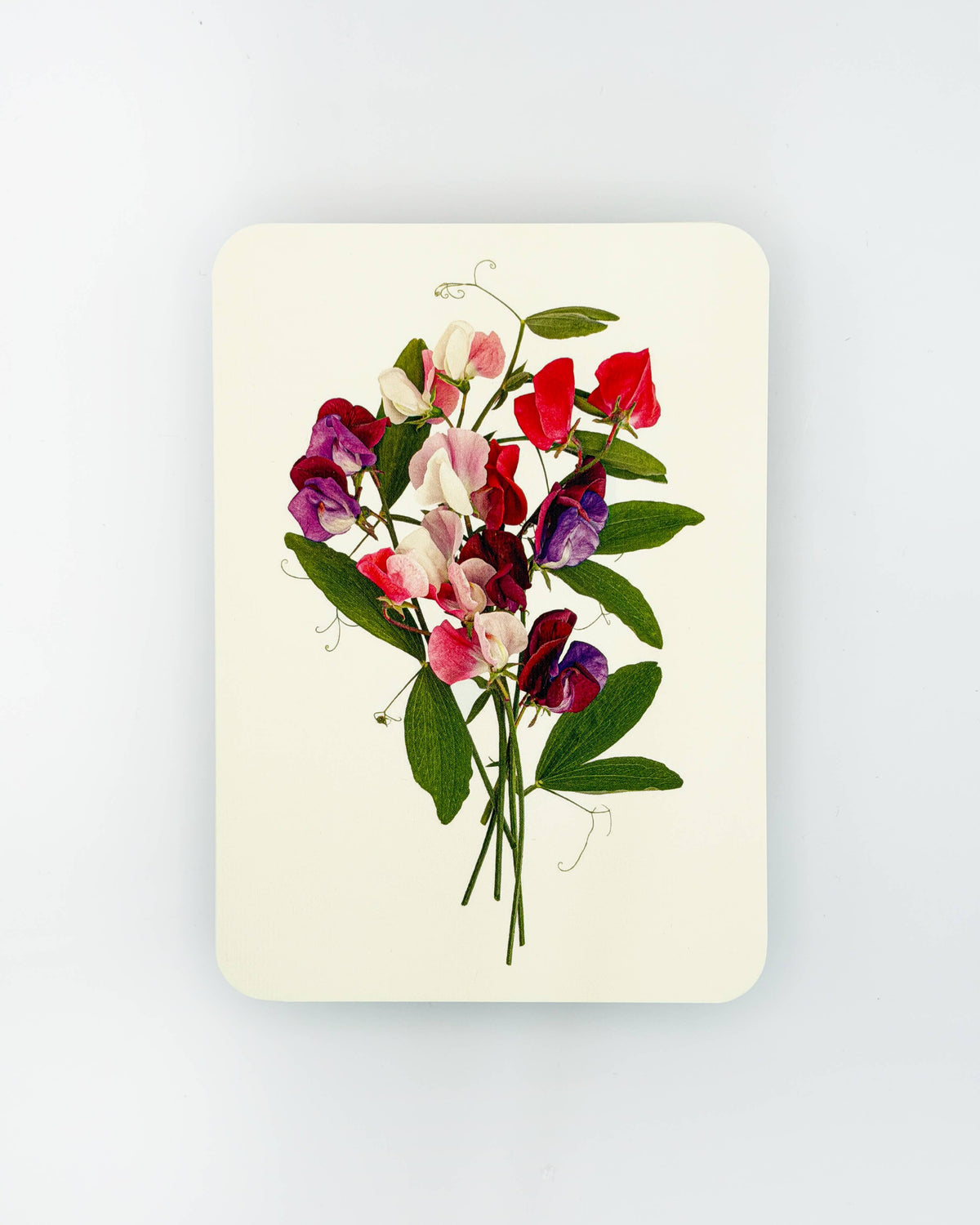 Mixed Sweet Peas Greeting Card | Birthday Card