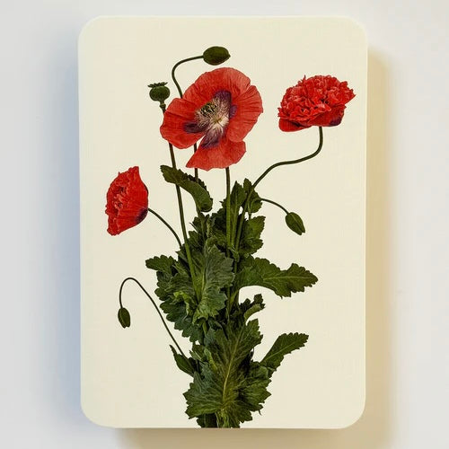 English Garden Flower Card