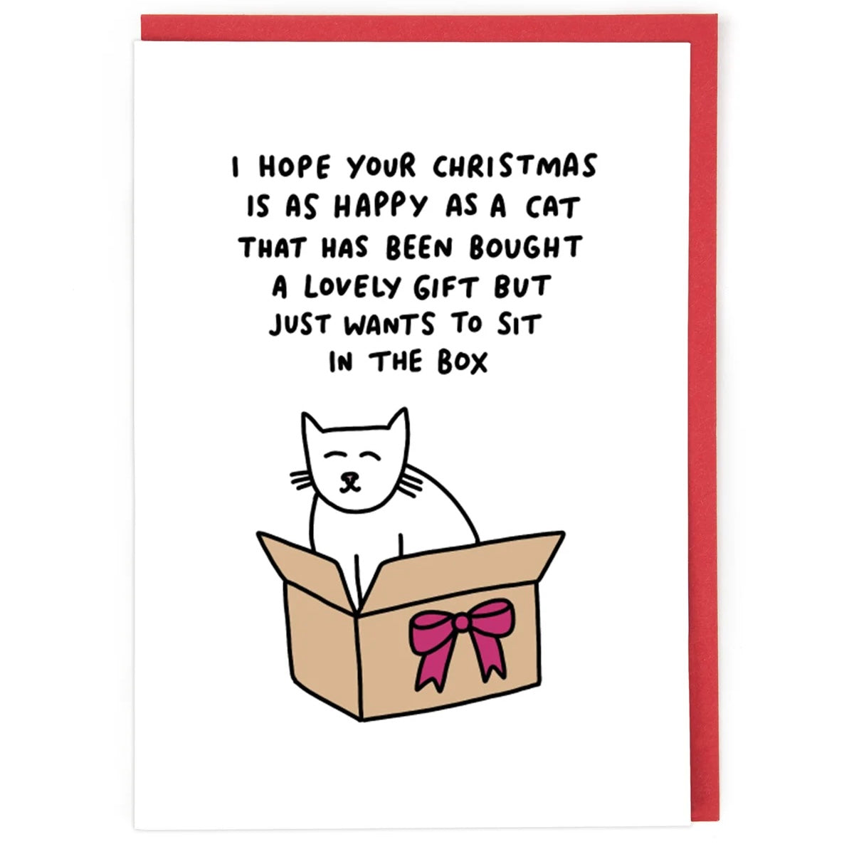 Cat In A Box Card