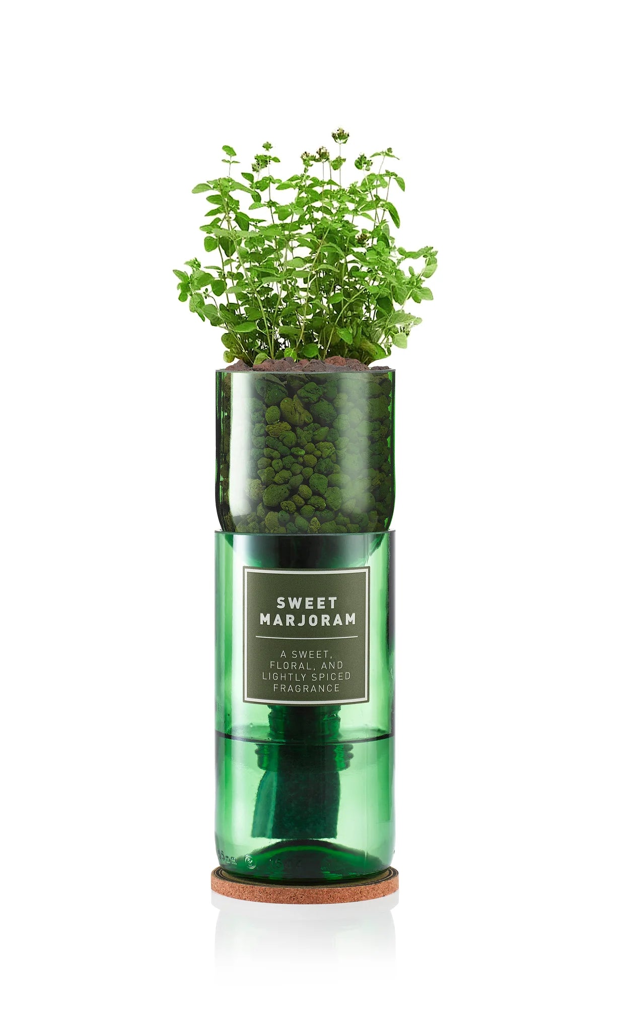 Hydro Herb kit with sweet majoram plant – self-watering hydroponic herb growing system made from an upcycled green wine bottle