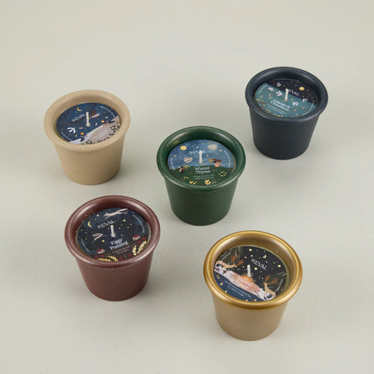 Pot Christmas Stardust