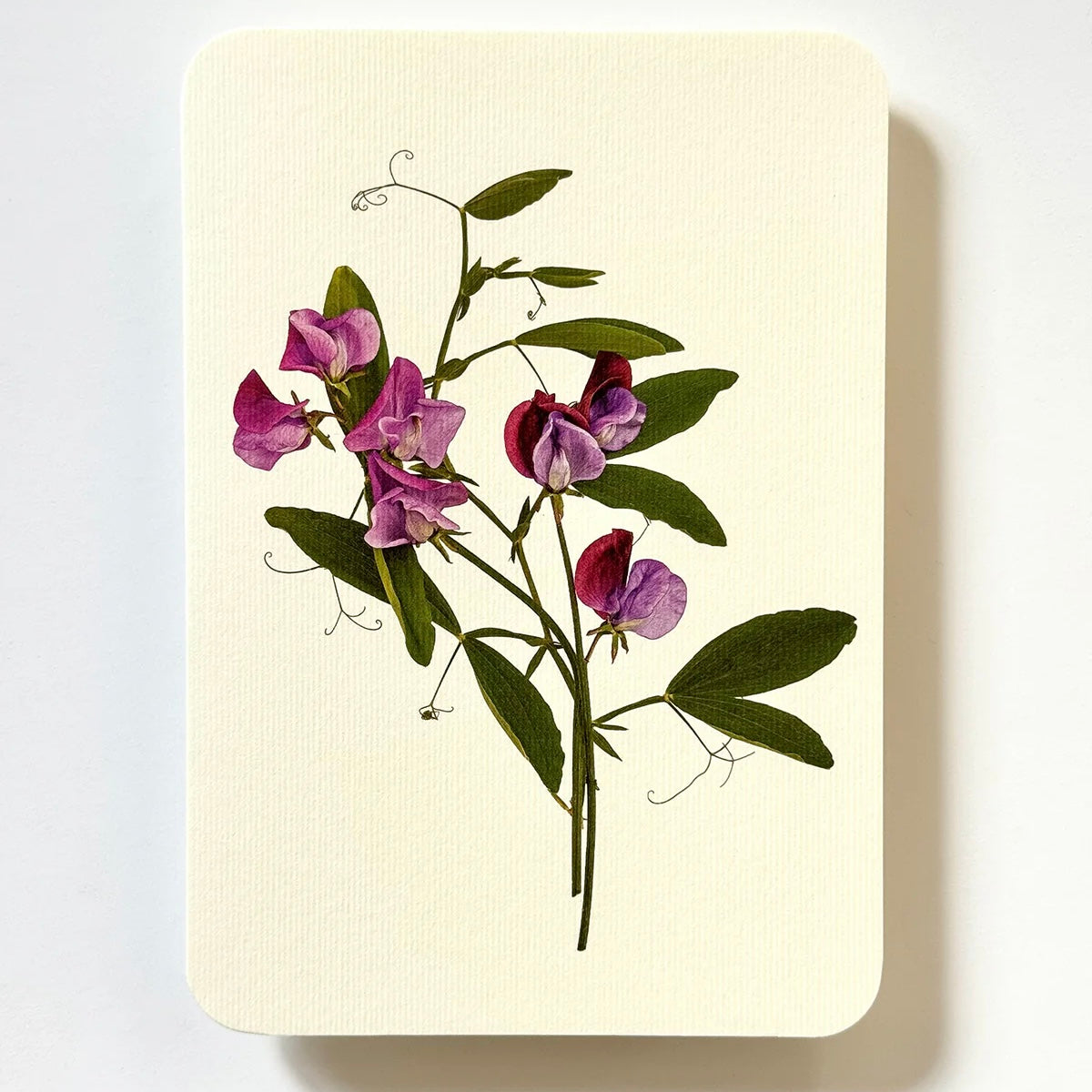 English Garden Flower Card