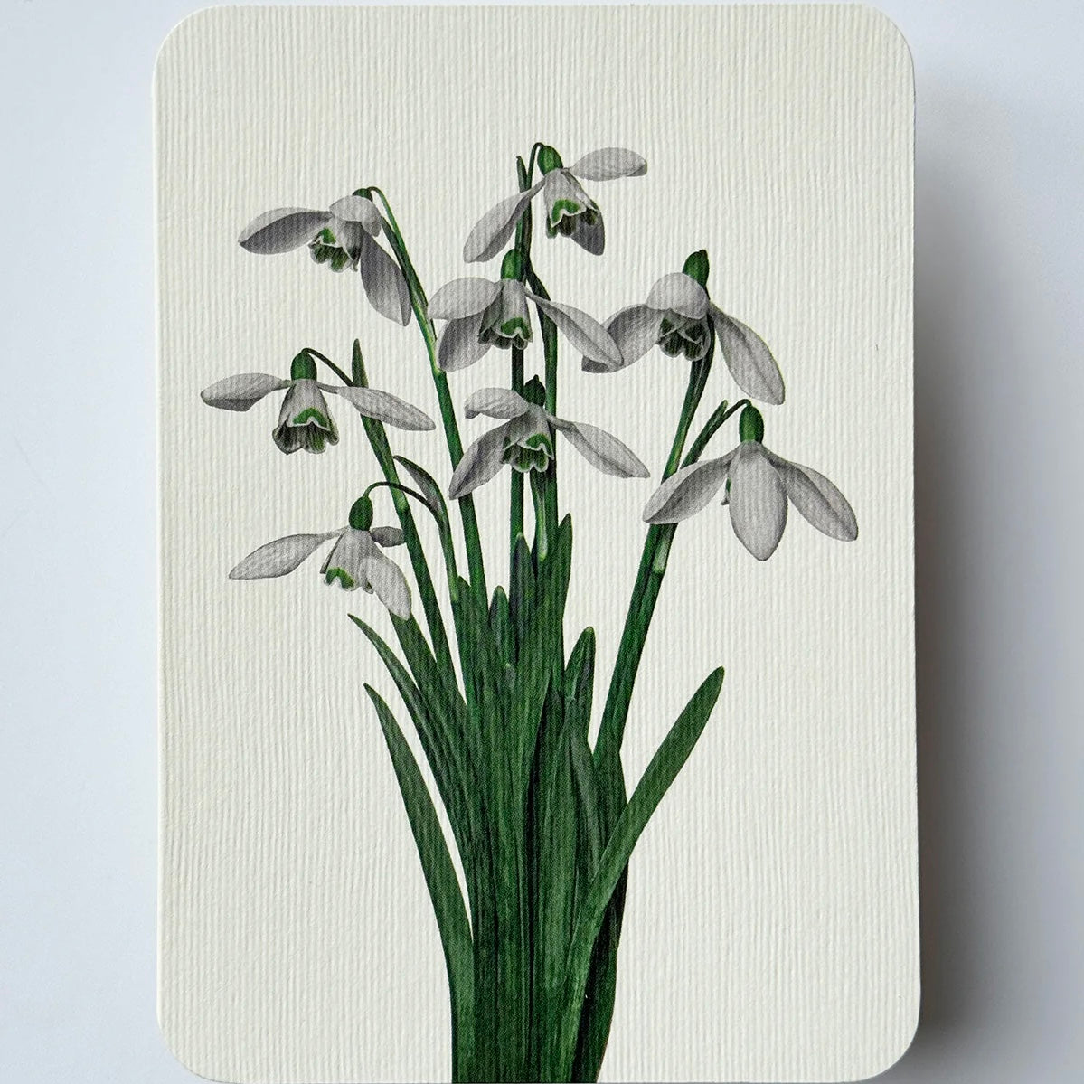 English Garden Flower Card