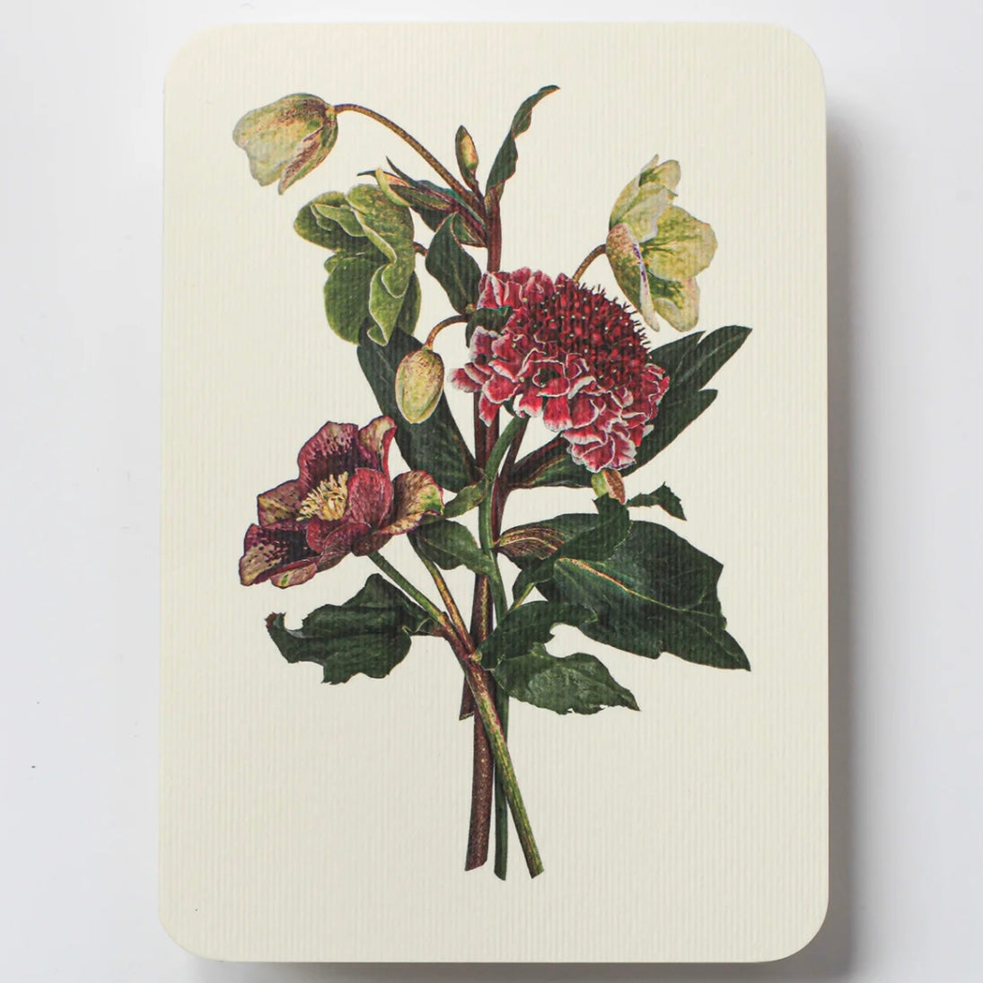 English Garden Flower Card