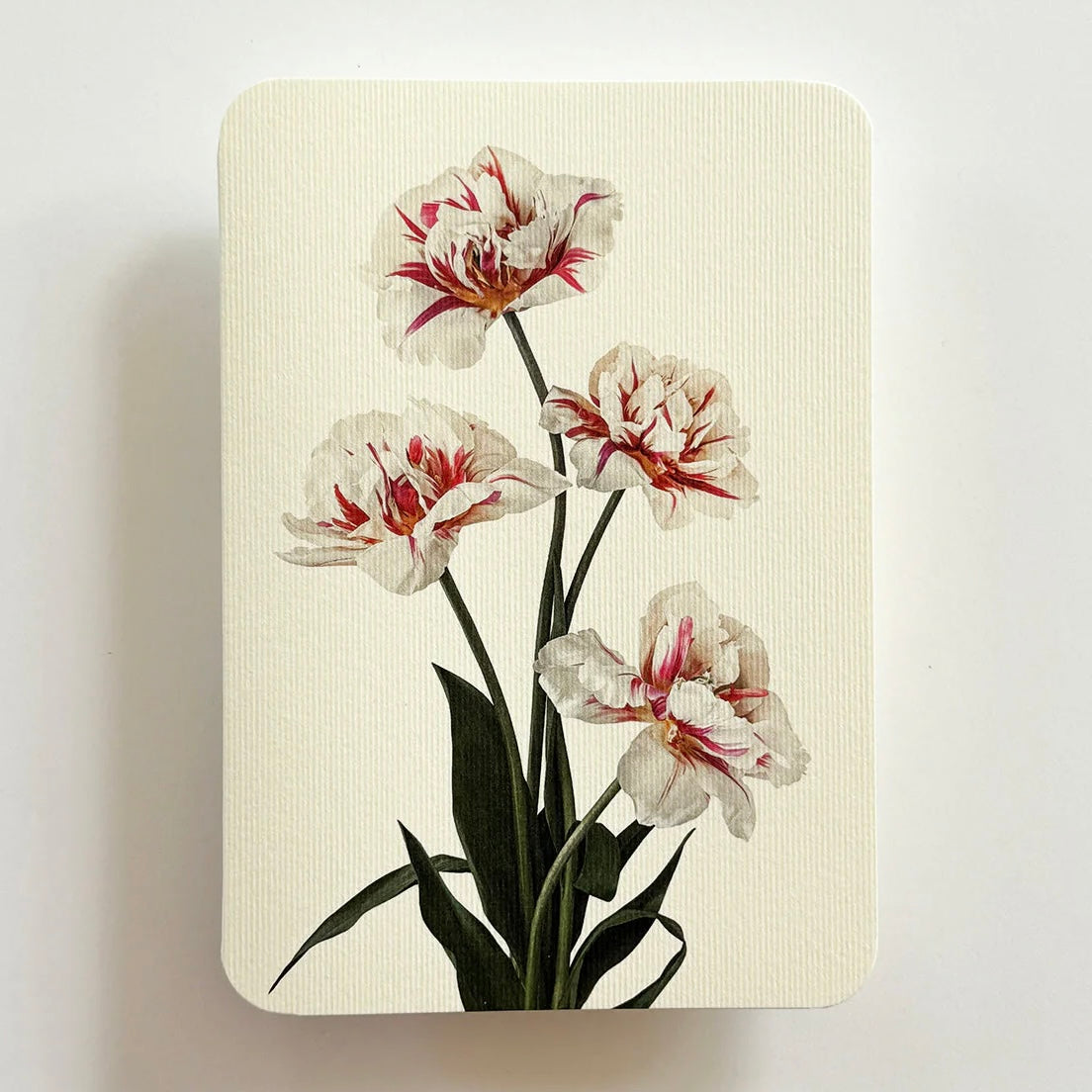 English Garden Flower Card