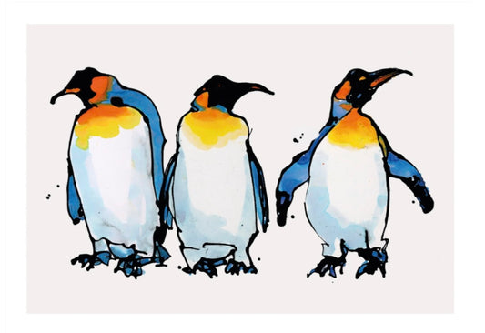 Three King Penguins Greetings Card