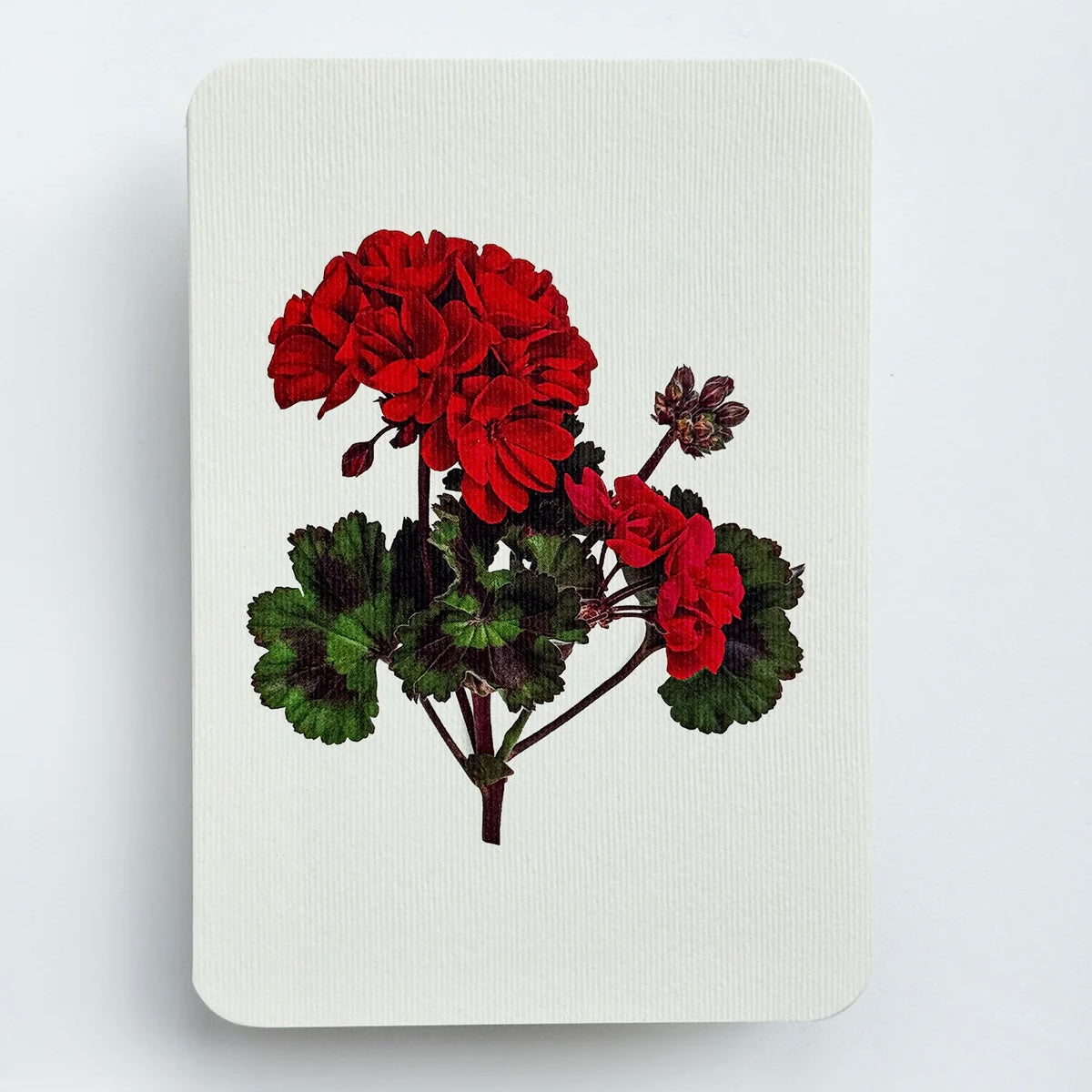 English Garden Flower Card