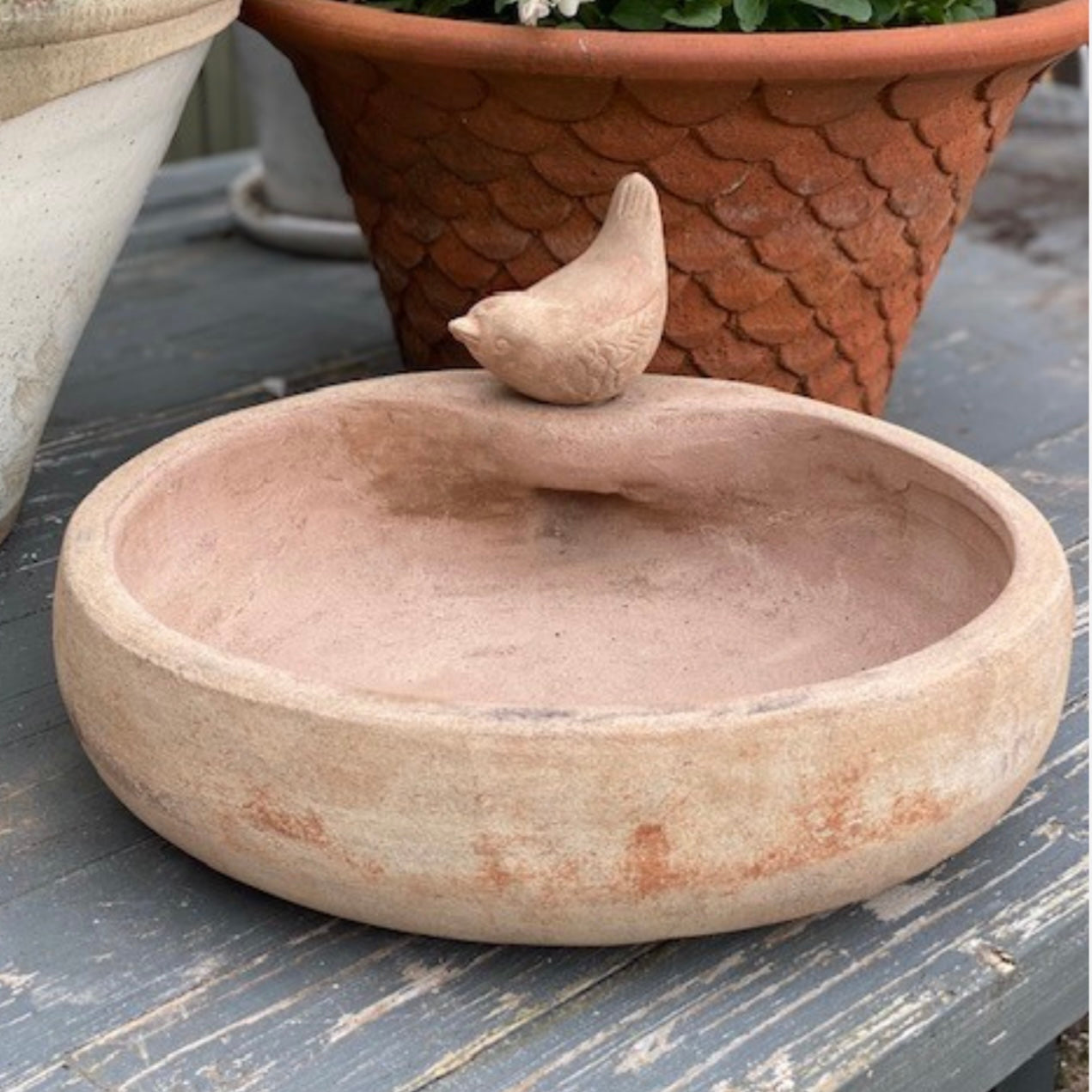 Terracotta Birdbath