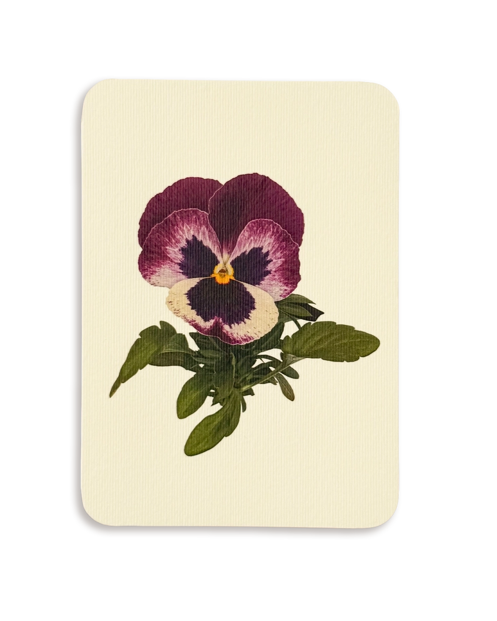 English Garden Flower Card