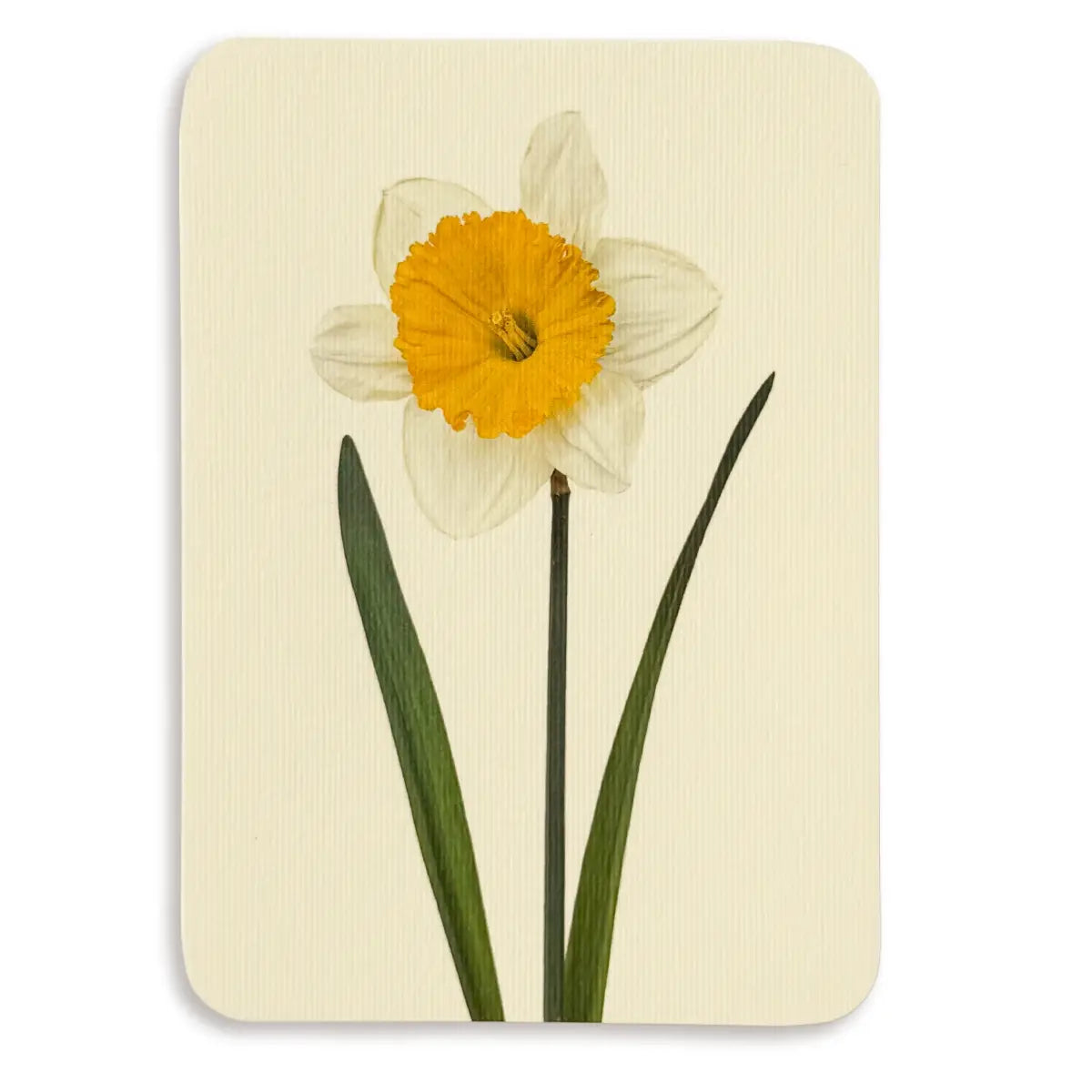 English Garden Flower Card