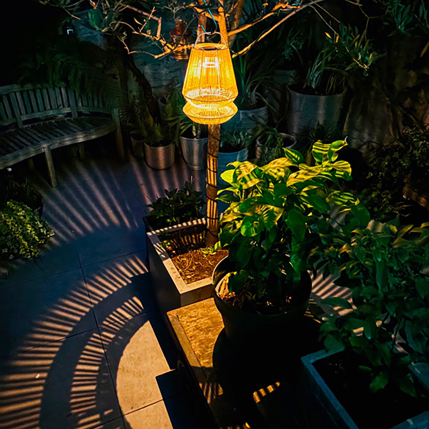 Lantern Carry On