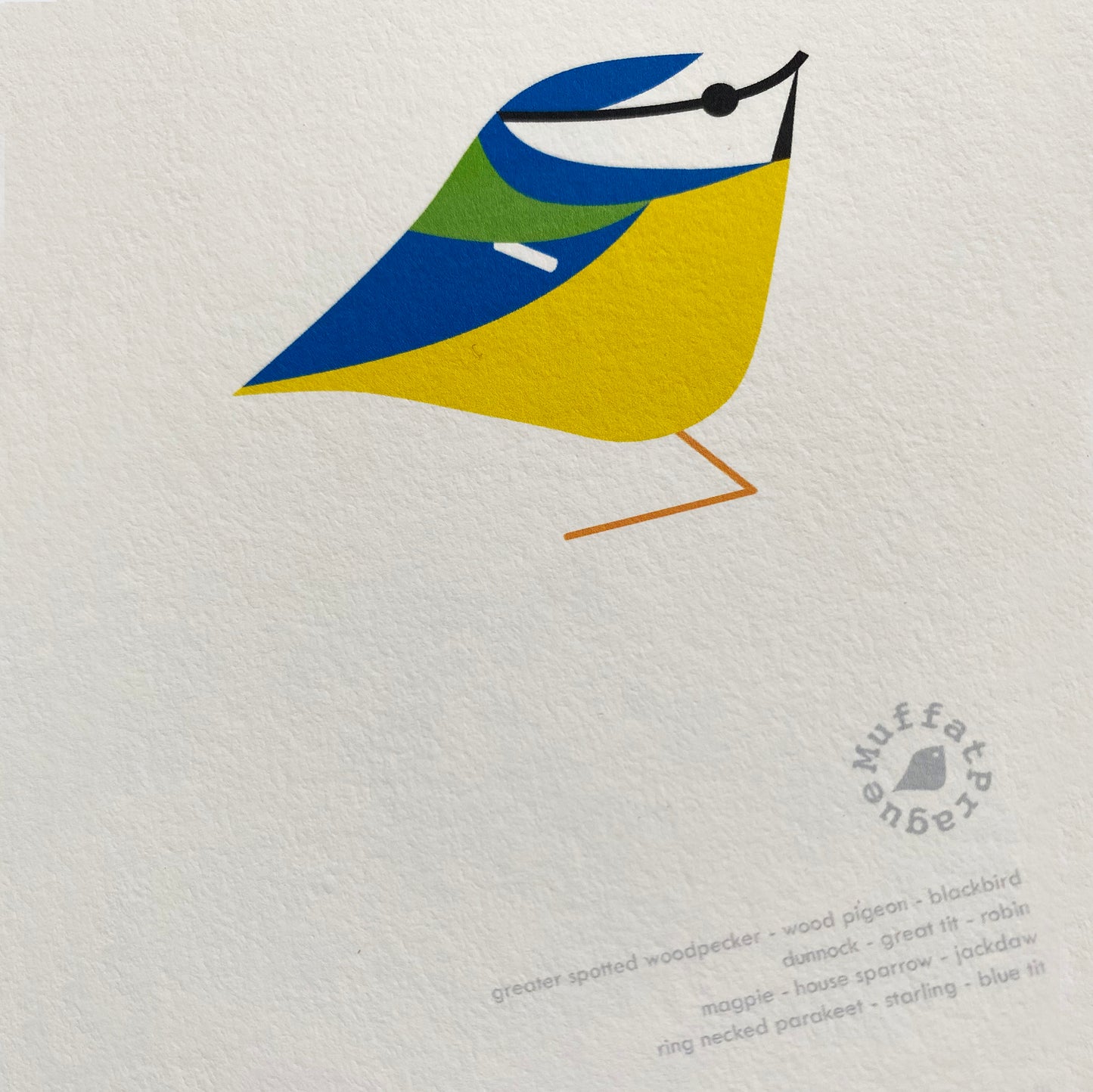 Birds of Stokey Print