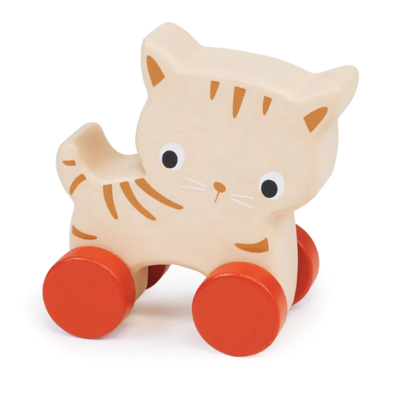 Kitten on Wheels