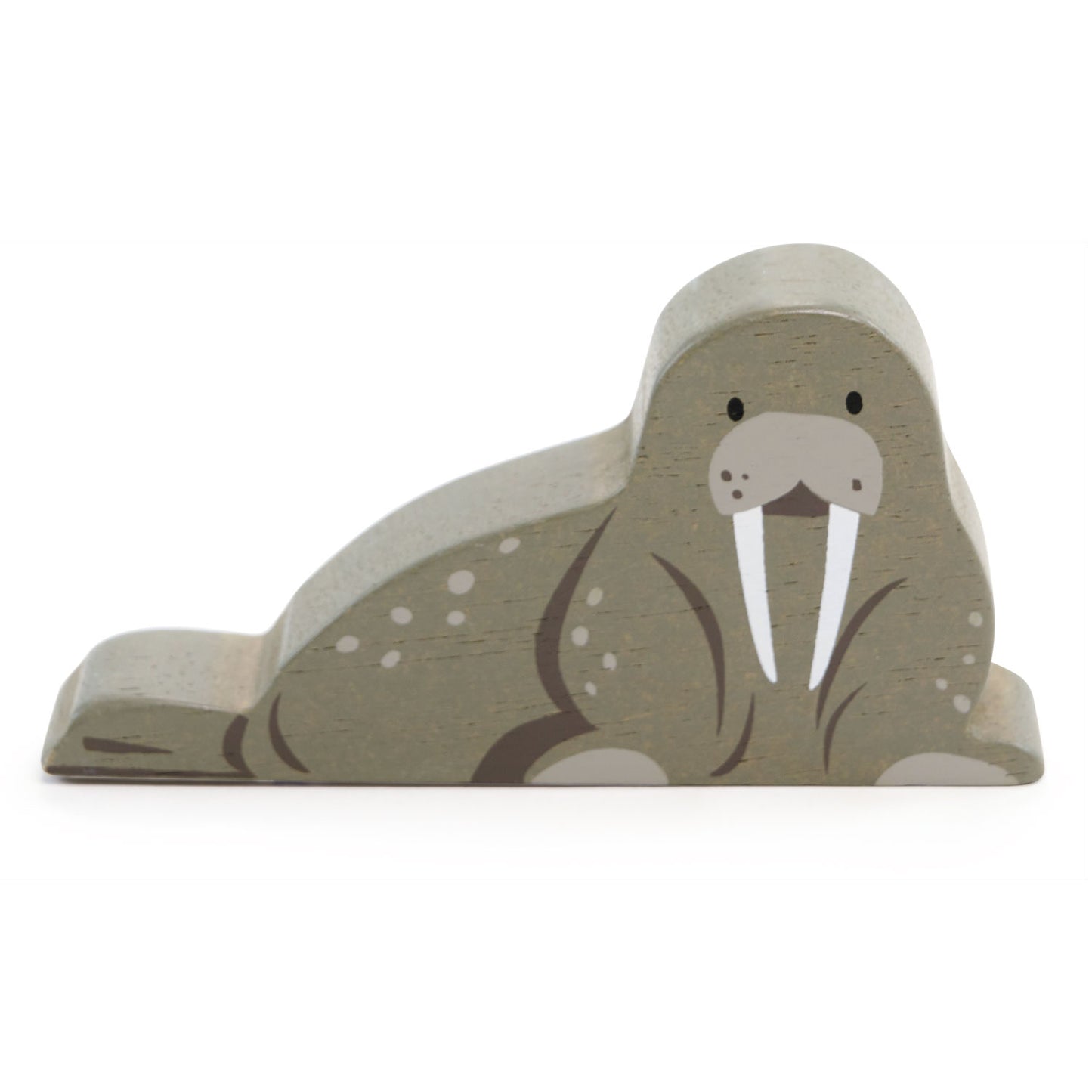 Polar Animals