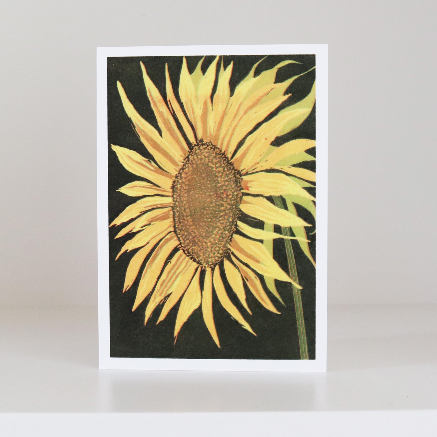 Flowers Greetings Card