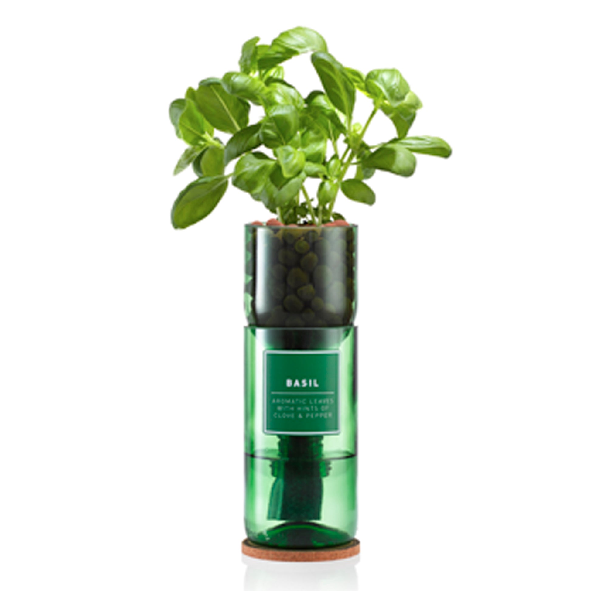 A recycled wine bottle repurposed as a self-watering hydroponic planter, with basil herbs growing out of it.