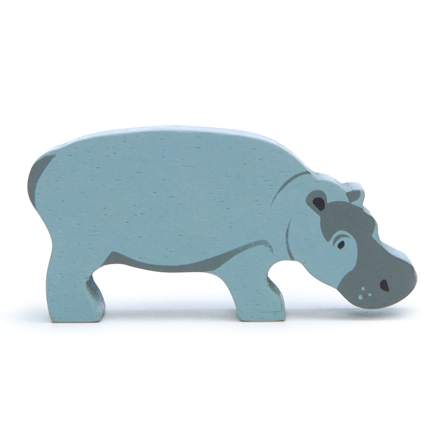 Safari Shelf Set