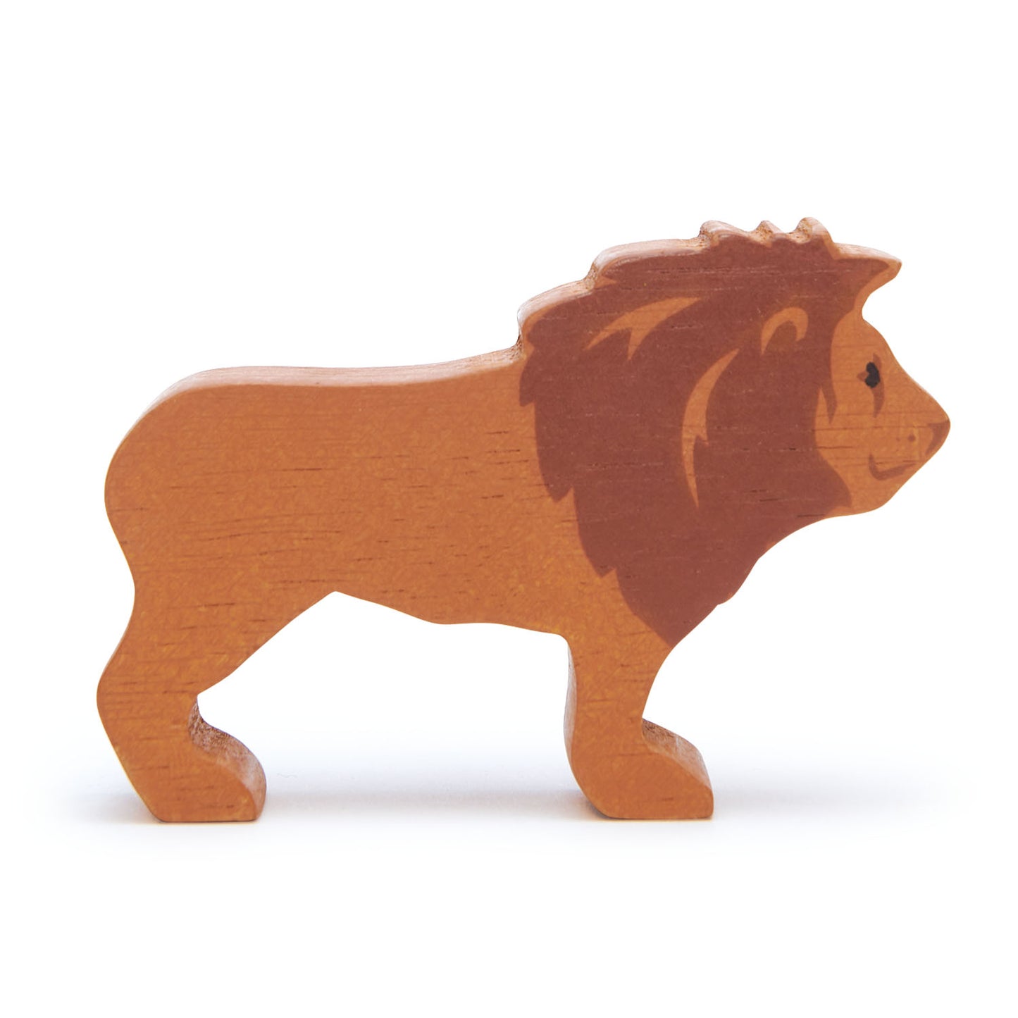 Safari Shelf Set