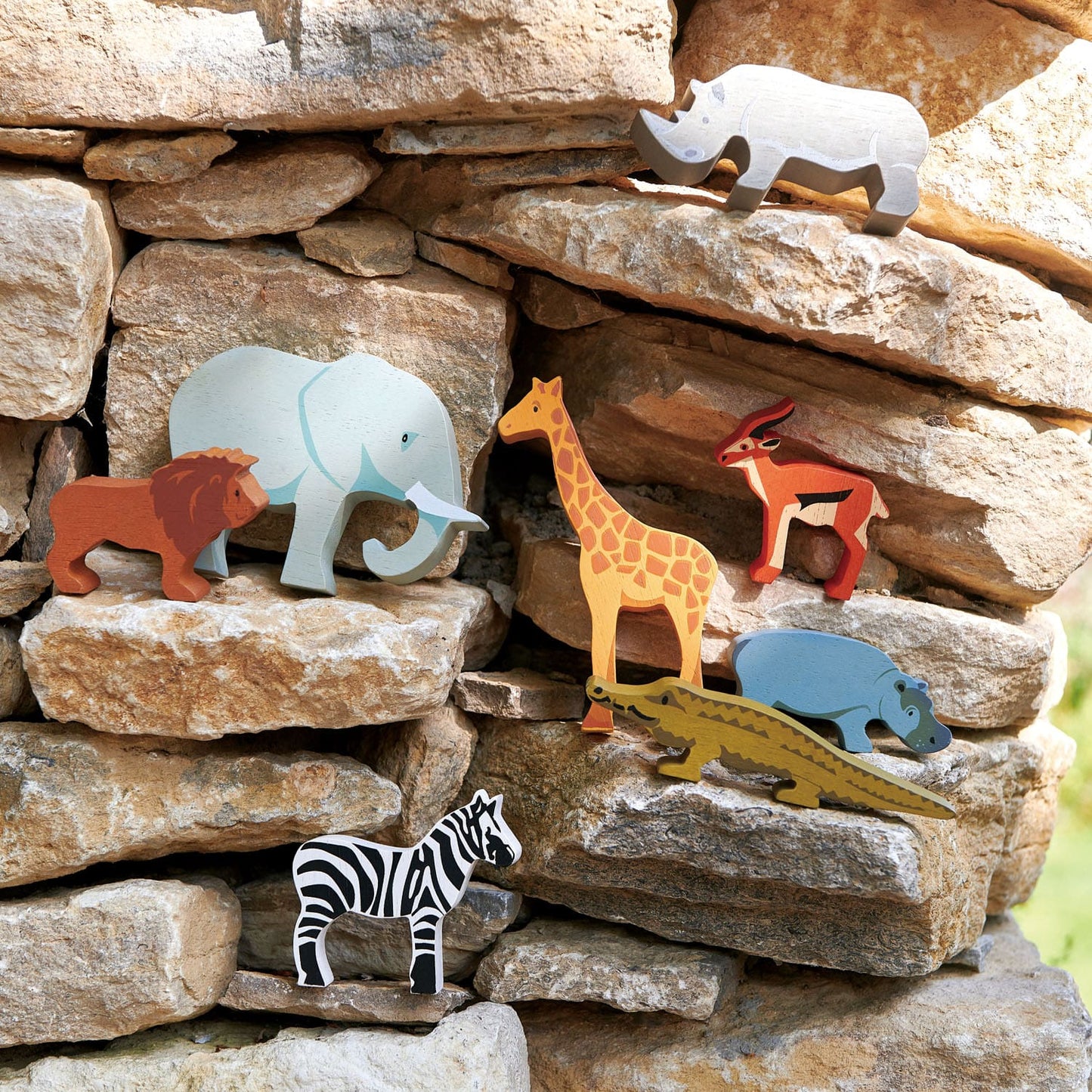 Safari Shelf Set